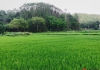 江口小山村
