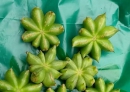广西玉林北流市也是世界上著名的香料八角产地。