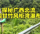 不惧杂草丛生！游客涌入北流山围甘竹村，只为探寻那处“野”瀑布