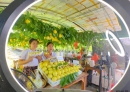 国家级榜单公布，北流入选的有→