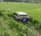 北流某乡道 一小车冲入农田