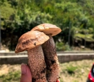 “这坟山，我拜定了！”二叔公是怎样捡得只山拜的？