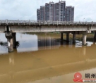 广西北流：强降雨致杂物堵塞河道 消防协助公路养护中心排险保畅通