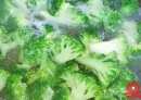 北流人你真的会吃青菜吗？