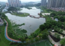 北流市区“四大城市公园”终于齐了？