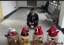北流某镇山场抓“笼中鸟”，沦“阶下囚”