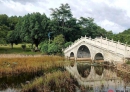 花了两千万升级，北流最漂亮的公园周末却空得能听见鸟叫