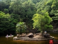 【图/文】十万大山药浴池