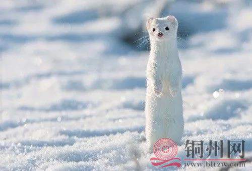 微信图片_20171016173757.jpg