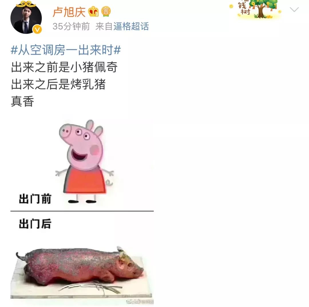e2d0d8d1084fa92bd2f80761364cf8a5.jpg