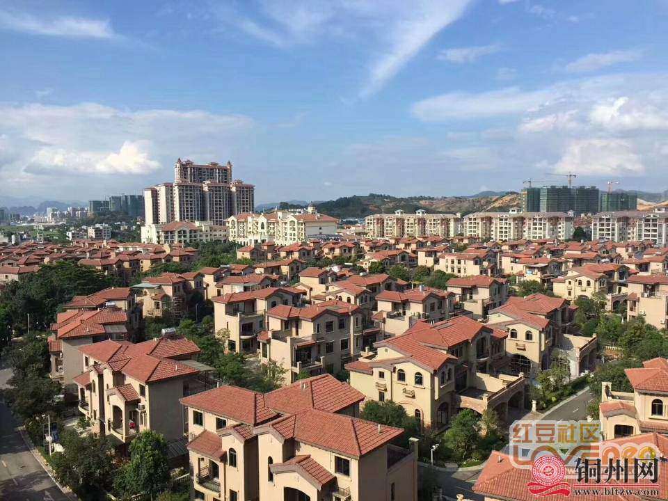 getimg.php?url=http%3A%2F%2Fpic.hongdou.gxnews.com.cn%2Fpicbbs%2Fbig%2F2018%2F0826%2F4305168_561c88660a3bf547f7e9e12ceb6c2c0a.jpg
