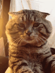 b16ac6b9468093dc9cb9d02607022299.gif
