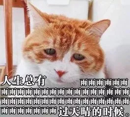 709f0c81575af80c60f616a2daa10be2.jpg