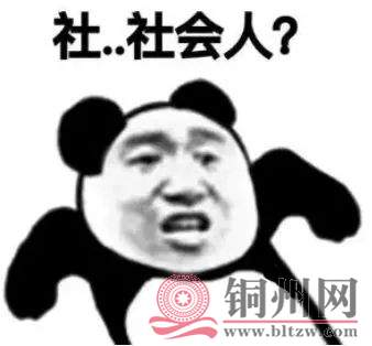 f30f0bcd52f1ad96a6a2747b802ade04.jpg