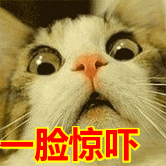 b5257d3b2d7e108c01067b9fff91b8d6.gif
