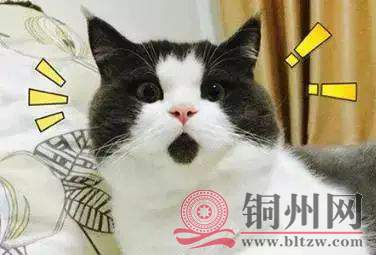 8d4a72a9d54c0593f8972cc415562b2e.jpg