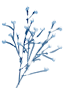 5f63398ceb6abc7935570e0d2ae1b7cb.png