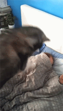 91eca0b1bbe43661a38aadb0c1501887.gif