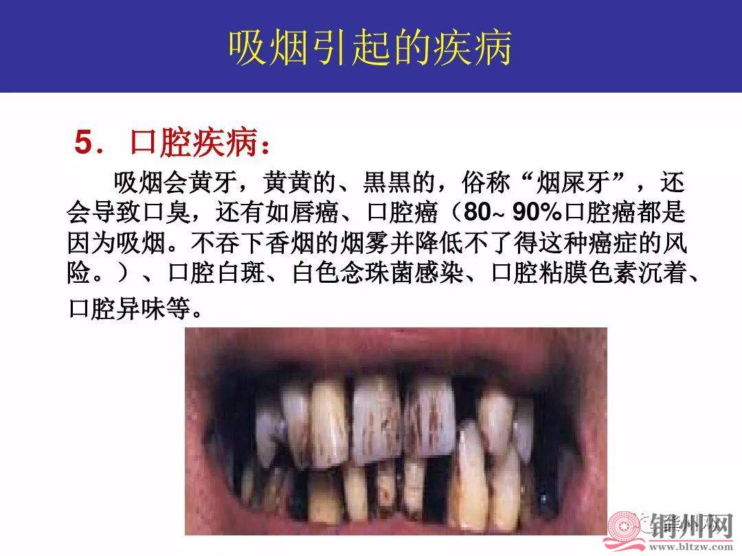 78ef63dfc23b1cca7ae246387804310c.jpg
