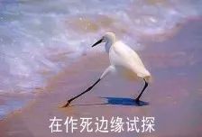 fee67c8e510797bfbcd7f7793b832aac.jpg