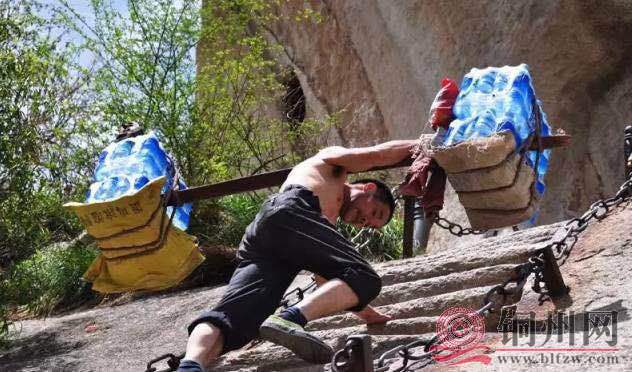 702d41982541ee1bc78e7994199611af.jpg