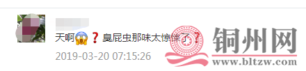 3fca65f33ae38de73b7066a2a8af4ca2.png