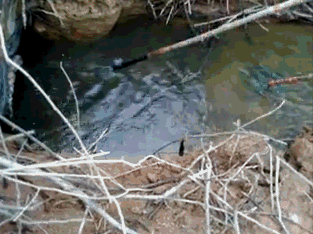 f42fe91988f445cca670891f3e240c30.gif