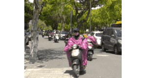 52ccf99c4308da0f31ac66a1d0c5aa10.gif
