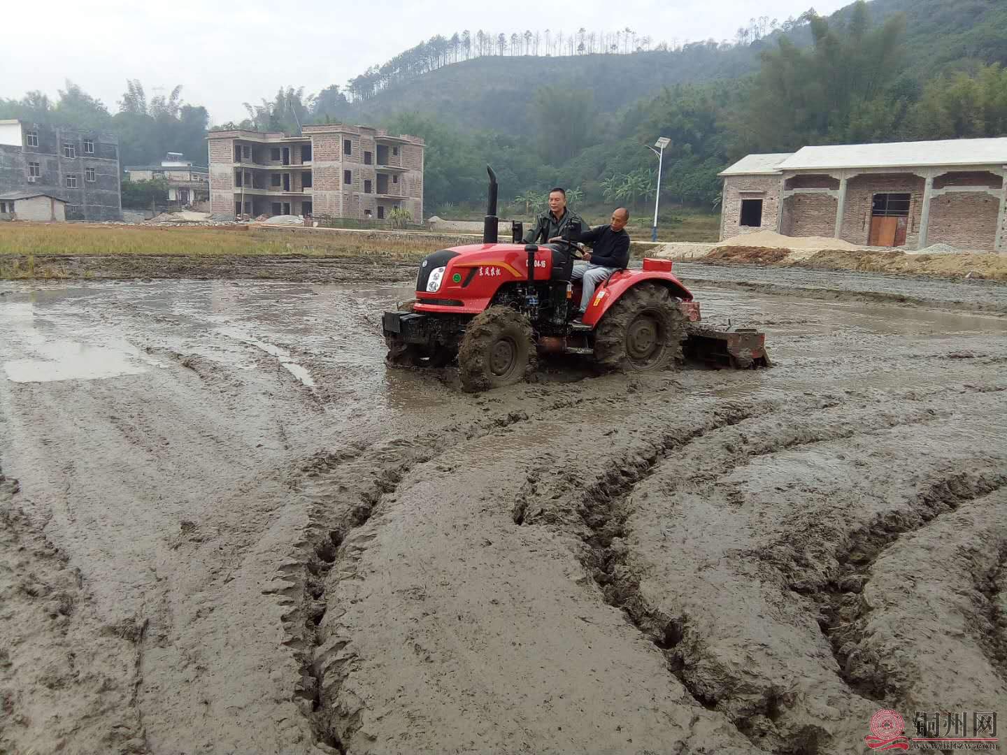 4.jpg
