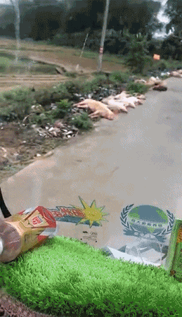 961aa31d1dbd721e17b6e99587df6e81.gif