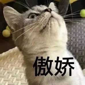 64dbe3bfd37c01d9e4efaafe788afabf.jpg
