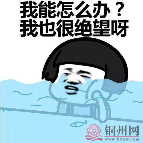 b2c075b0aec5da9214882b0e30a3c129.jpg