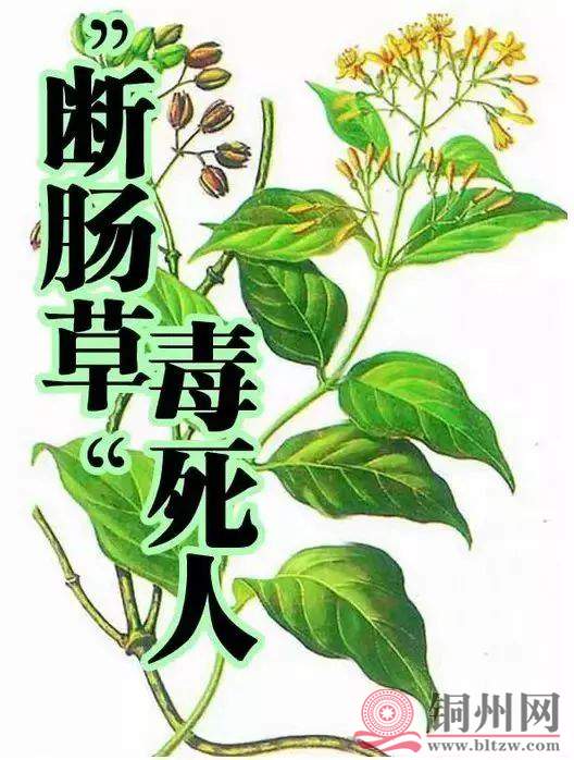 af83b883ca9e91b6fe63ab2b5ccb0b19.jpg
