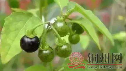 aa5c831d58afb12ad7bc76be506ea702.jpg