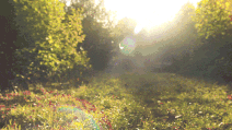 3593e99c0b2e7b279b67c611d3882725.gif