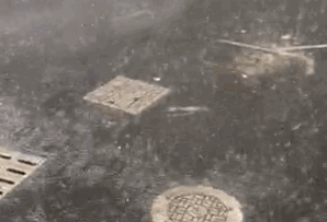 ff828dabcd3284f6497a99291fbdc742.gif
