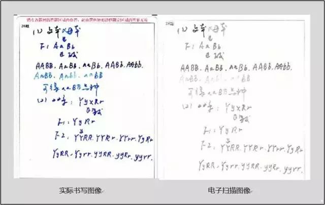 56c6a5dd098fbde0e7e8495113c5c32f.jpg