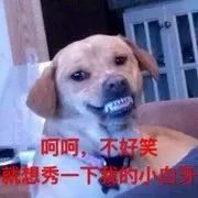ed194451d0de7ffb6d53187196ad3bad.jpg