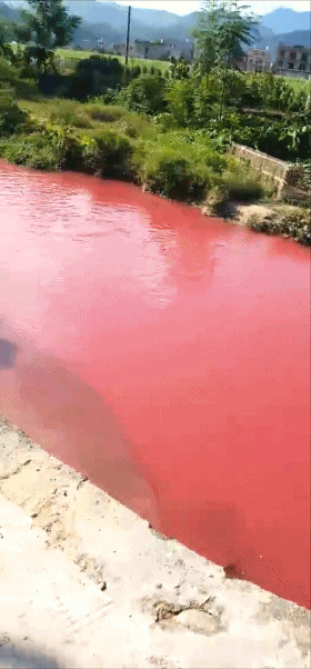 7cca4f4081a651654413d4c8fb11992b.gif