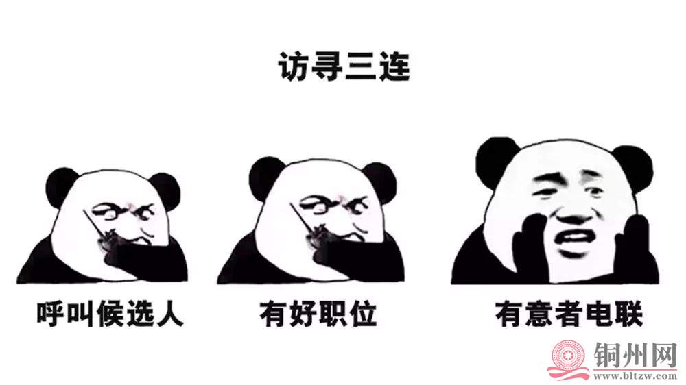 46acca9496b83fef4d3b3c6fa05518c1.jpg