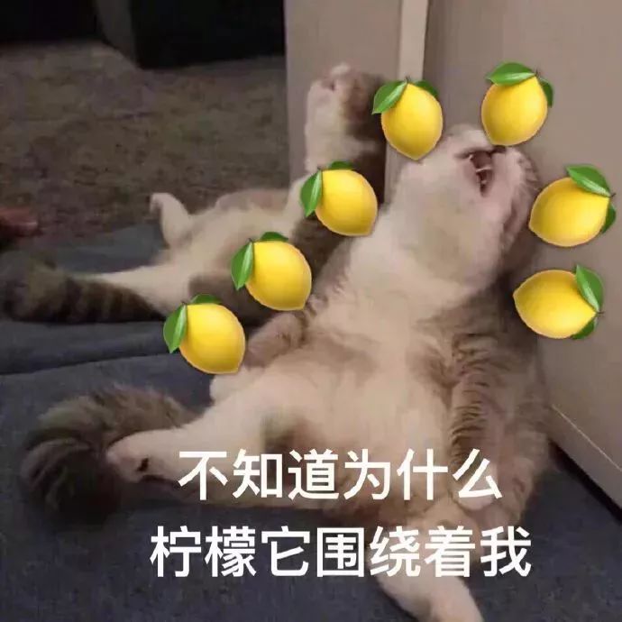 a5caf99b4313e2f8a1002d6339d69ee2.jpg