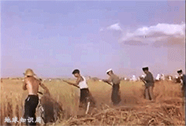1DF67D9E268FB4A68C294584A629DDBE2442604B_size1906_w263_h178.gif