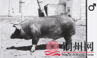 F67AD879C05442CDE9B62EEBE83C34AC18B083B7_size166_w374_h223.png