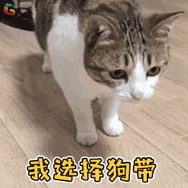 05DAD17FCB2F87B6617827250AC3B86AE23AA4CB_size929_w270_h270.gif
