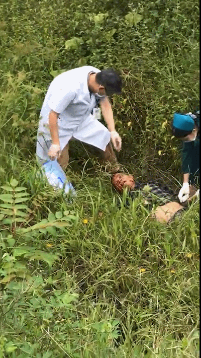 caa30d7f8f025716e9fc9691024b55be.gif