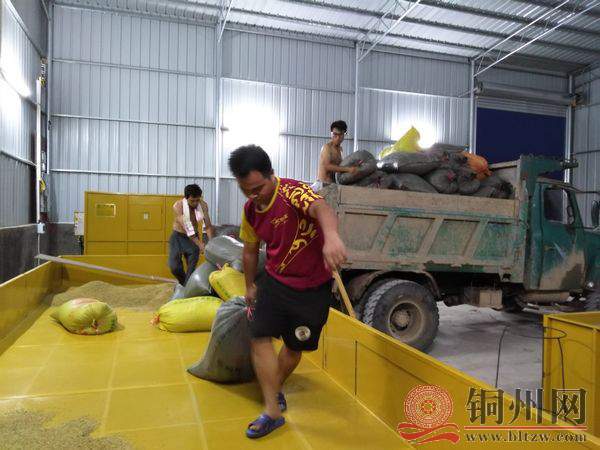 微信图片_201907151656242.jpg