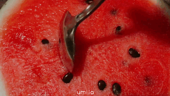 3ac21bbbbc8b4263a495db60518a8421.gif