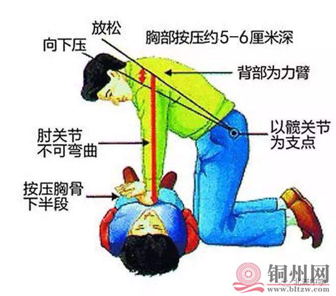 03a4046150ef9372b2e4e6bd0761cf2d.jpg