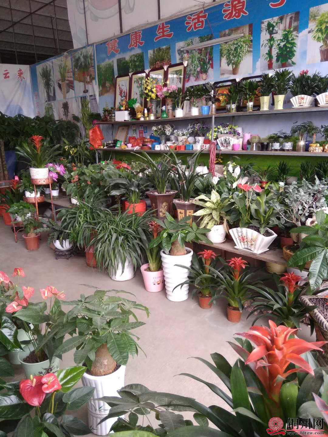 wechat_upload15706146765d9dad94a99fc