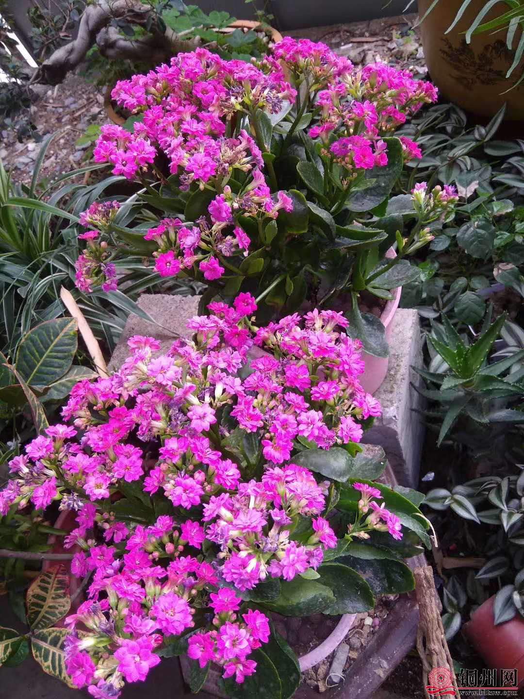 wechat_upload15706146775d9dad958f42a